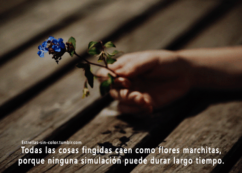 Fotos De Flores Tumblr Con Frases