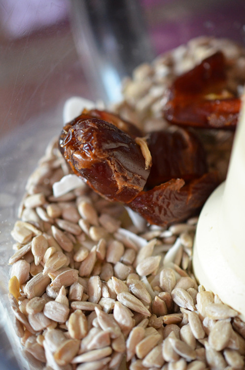 Dates and sunflower seeds in a food processor.