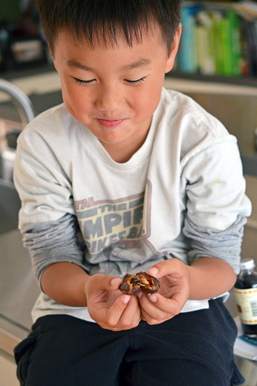A young boy is pitting Medjool dates to make paleo and Dairy-Free Vanilla Ice Cream 