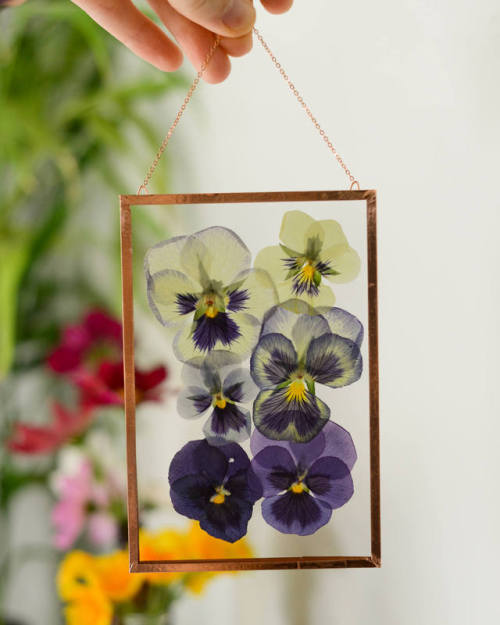 Pressed Flower Art and Botanical Coasters by Karly Murphy on... Artes & contextos tumblr orz8bnLby21qas1mto3 500