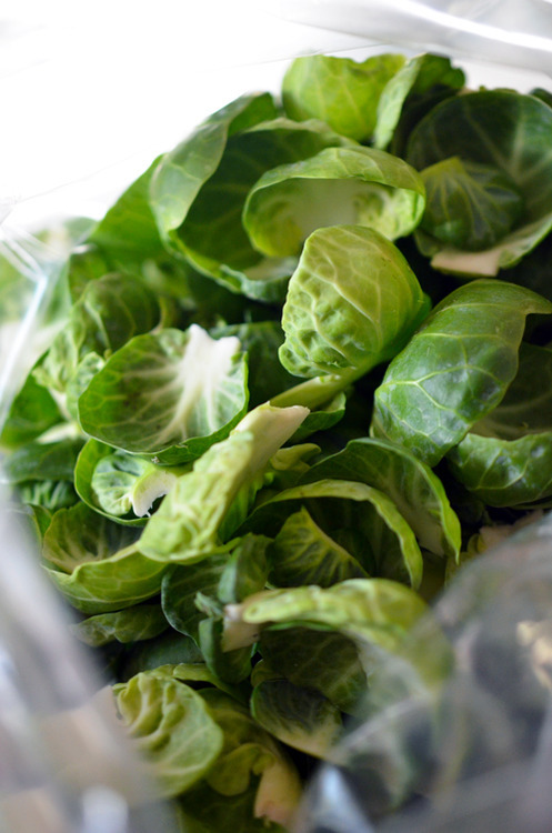 A bag of peeled Brussels Sprouts leaves.
