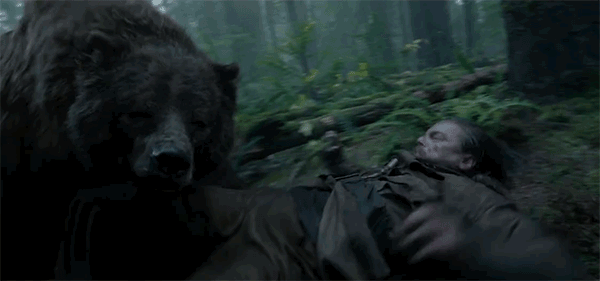 Ataque do urso em O Regresso
