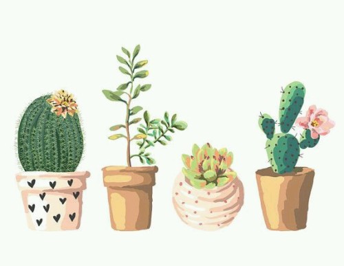 Resultado de imagem para cactus art tumblr