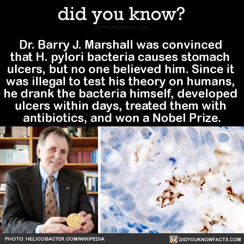 dr-barry-j-marshall-was-convinced-that-h