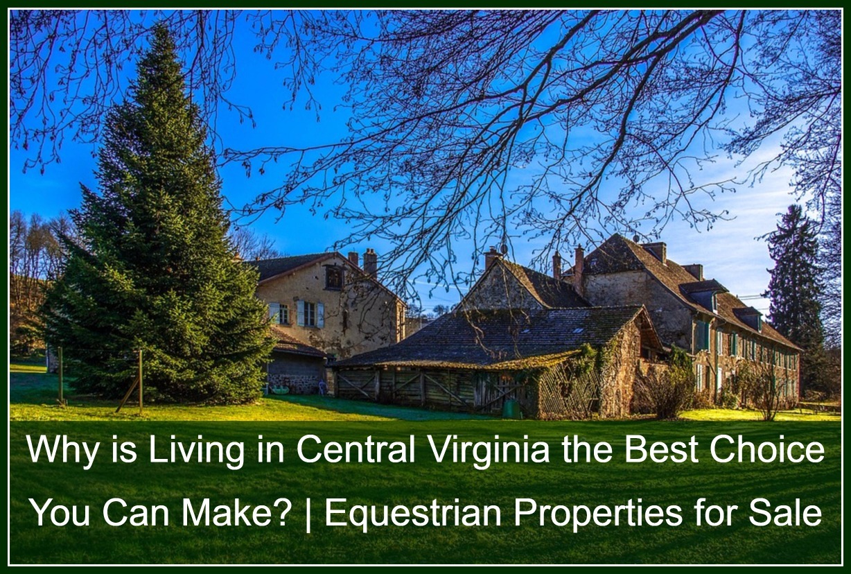 Equestrian Farms for Sale in Central Virginia - Find a home for yourself, your family and even your horses in Central Virginia!