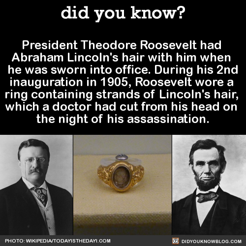 did-you-kno-president-theodore-roosevelt-had
