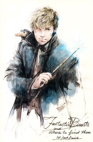 Image result for fantastic beasts and where to find them fanart