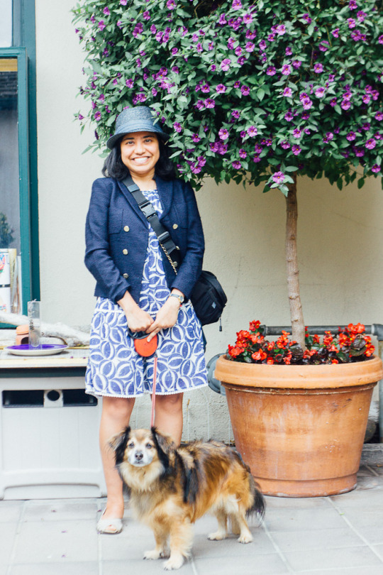Where to go in Carmel with your dog