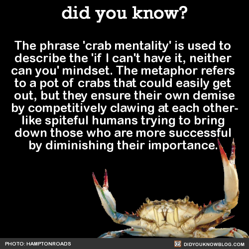 the-phrase-crab-mentality-is-used-to-describe