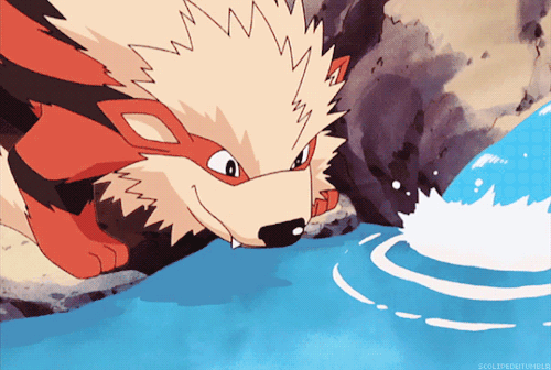 Image result for arcanine gif
