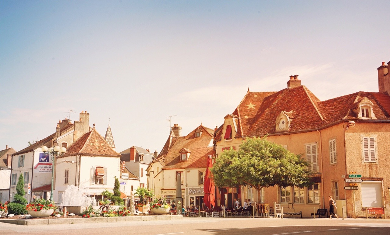 Nuits-Saint-Georges - the main town of the wine producing Côte de Nuits area of Burgundy. Unlike Bordeaux, Burgundy red wines are dominated by Pinot Noir grapes which grow in abundance here. 🍷
