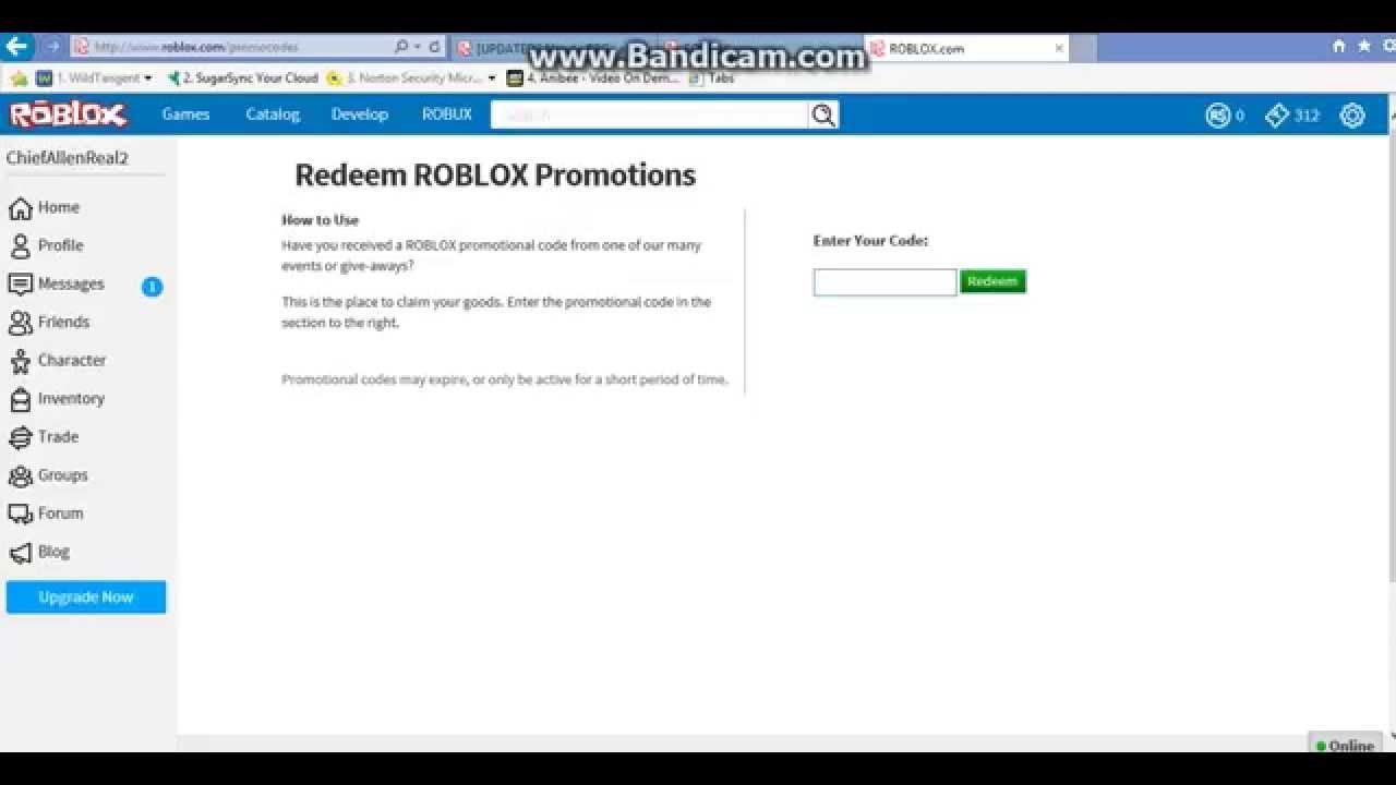 Roblox Promo Codes Active Now