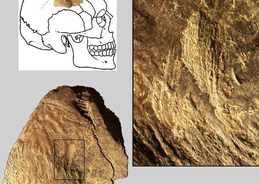 There was an outbreak of cannibalism 10,000 years ago in Spain