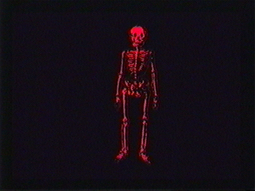 skeletons on Tumblr