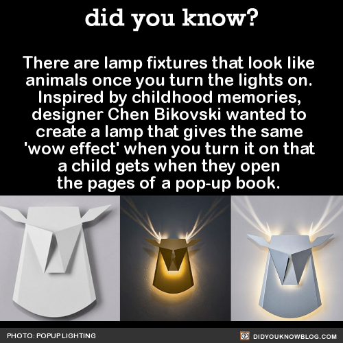 there-are-lamp-fixtures-that-look-like-animals