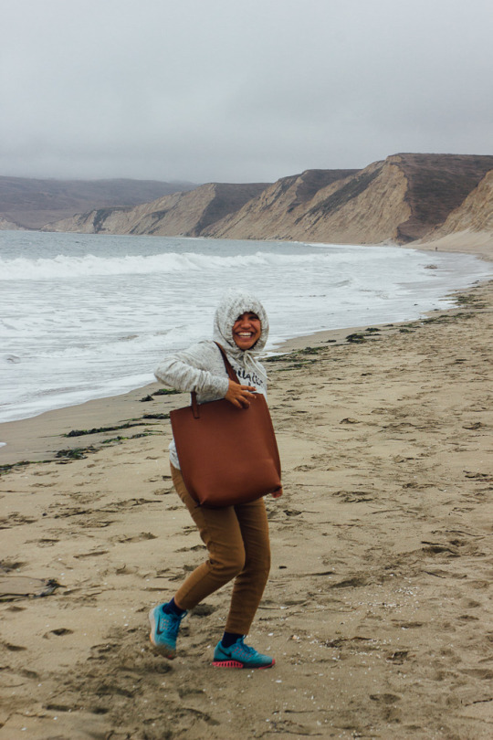 Things to do in Point Reyes: Visit its many beaches such as Drakes beach