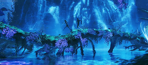11 fois où j'ai voulu m'évader en regardant Avatar | Vrak