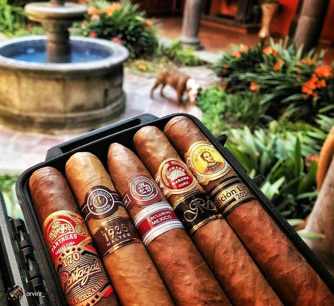 Line up goals!!
🔥💨👌
#Repost 📸 from @orvinr_
WWW.CIGARSANDWHISKEYS.COM
Like 👍, Repost 🔃, Tag 🔖 Follow 👣 Us & Subscribe ✍...