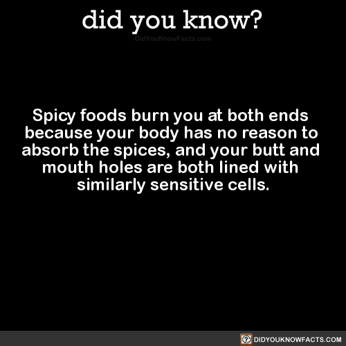 spicy-foods-burn-you-at-both-ends-because-your