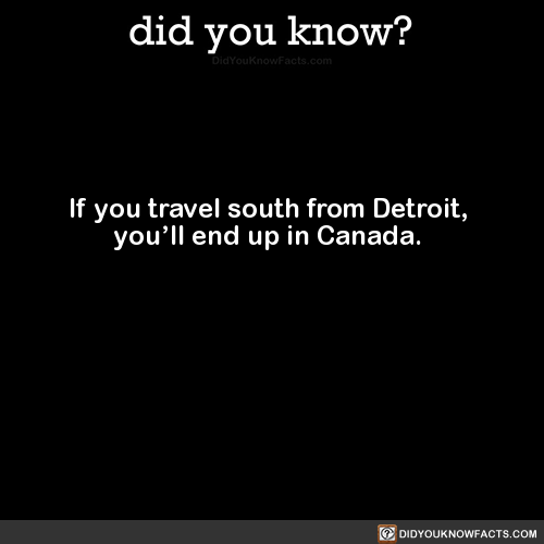 if-you-travel-south-from-detroit-youll-end-up