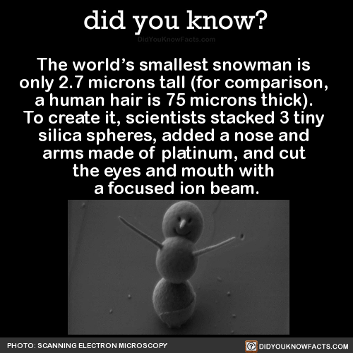 the-worlds-smallest-snowman-is-only-27-microns