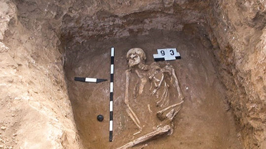 Thousands of horsemen may have swept into Bronze Age Europe, transforming the local population
