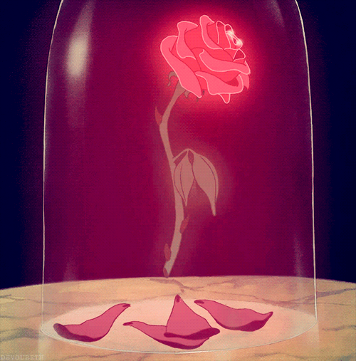 roseinbloom Avatar