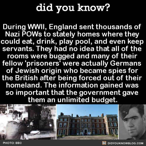 did-you-kno-during-wwii-england-sent-thousands