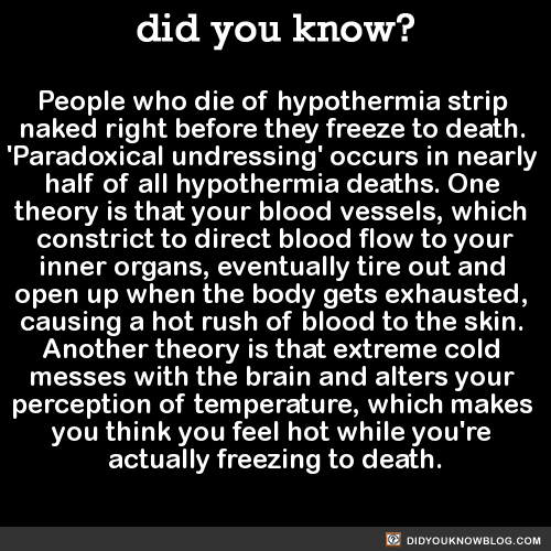 people-who-die-of-hypothermia-strip-naked-right