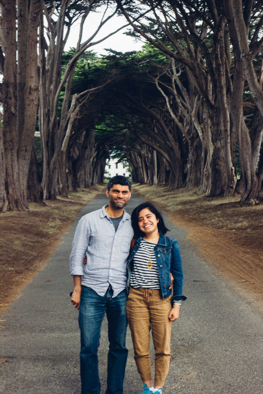 Cypress tree tunnel point reyes: Romantic couples weekend in Bay Area