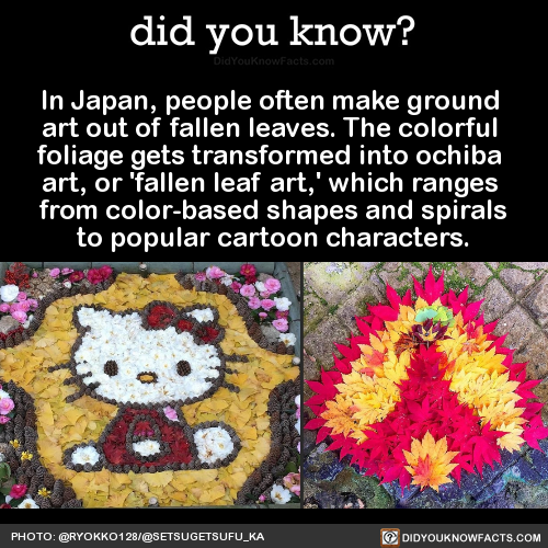 in-japan-people-often-make-ground-art-out-of