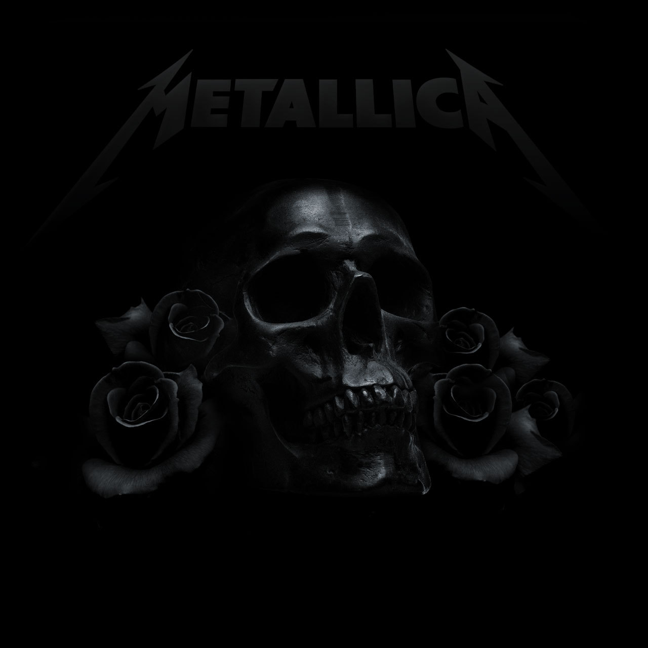 Metallica The Black Album 61