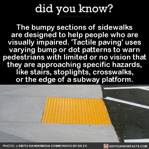 the-bumpy-sections-of-sidewalks-are-designed-to