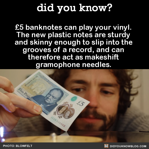 5-banknotes-can-play-your-vinyl-the-new-plastic