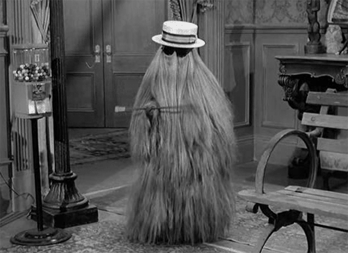 'The Addams Family': Where Are They Now?