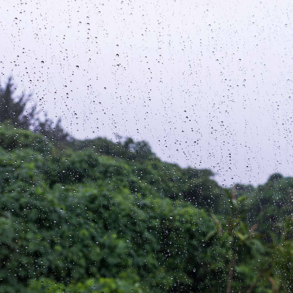 屋久島の雨、山々