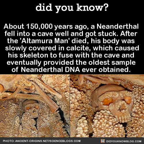 about-150000-years-ago-a-neanderthal-fell-into