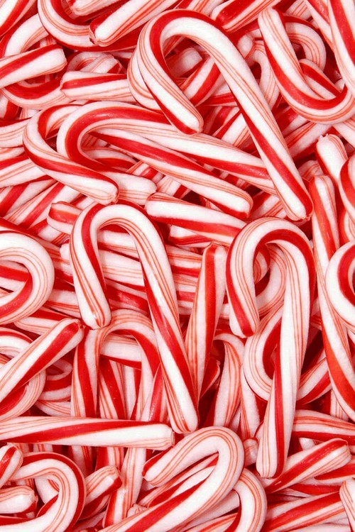 candy canes on Tumblr