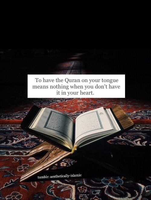 islamic quote on Tumblr