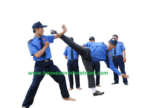 Huấn luyện võ thuật cho các công ty bảo vệ