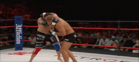 Vitaly Bigdash VS Igor Svirid Full Title Fight Video - ONE Championship Tigers Of Asia  Tumblr_odu6ymtSKU1qd4esao1_500