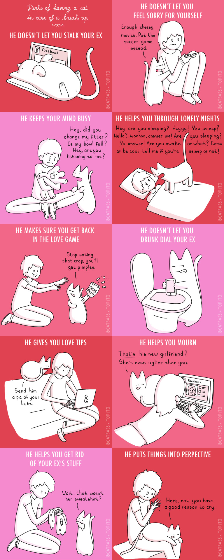 10 Benefits Of Having A Cat In Case Of A Break Up Made with @fuckyeahtopito