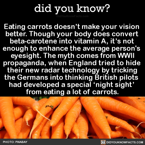 eating-carrots-doesnt-make-your-vision-better