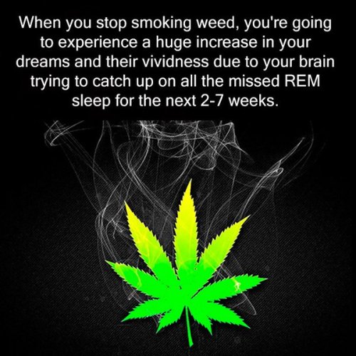 smoking weed on Tumblr