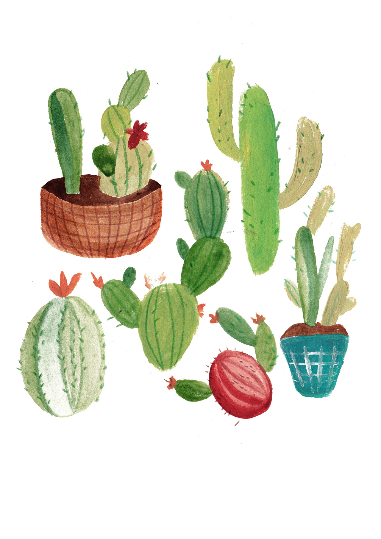 A Family of Cacti