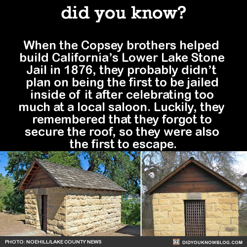 did-you-kno-when-the-copsey-brothers-helped