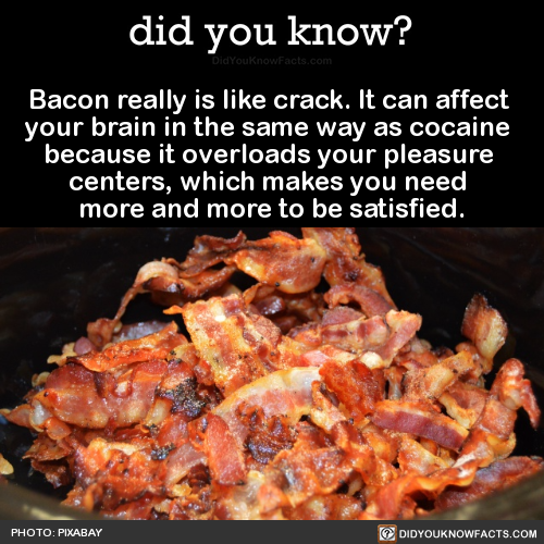 bacon-really-is-like-crack-it-can-affect-your