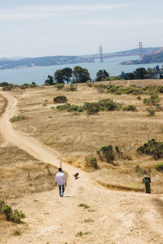 Tiburon's open space reserve is a perfect spot to spend hiking with your dog. This island is accessible via ferry for weekend getaway from San Francisco