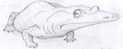 Hypno Toad’s Great Great Great ….. Grandfather, Mastodonsaurus giganteus -TonY