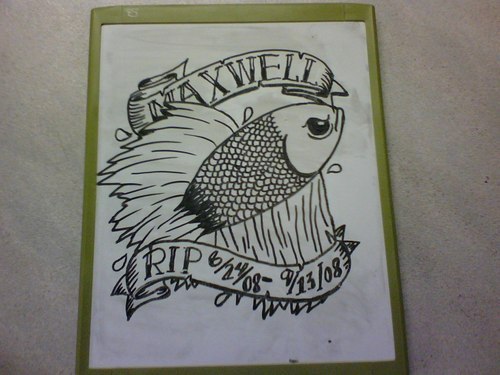 Betta Fish memorial drawing. Dry erase marker on whiteboard